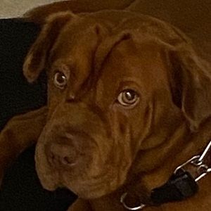 Meet your Posher, Edward